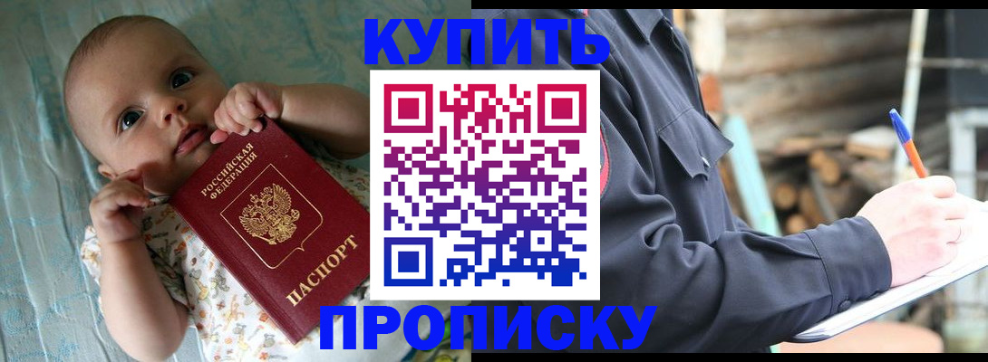 прописка поиск в Новозыбкове